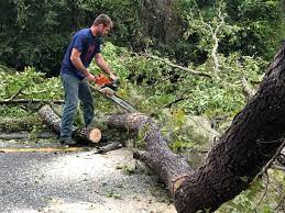 Best Aeration Services  in Pantego, TX